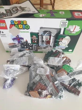 Lego Mario 71399 Entryway