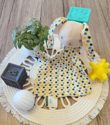 Doudou Lange Lapin Klorane