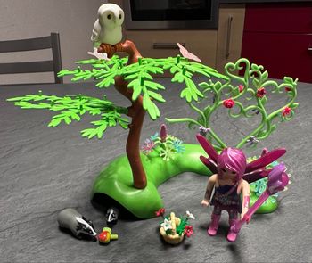 Playmobils fairies dragon