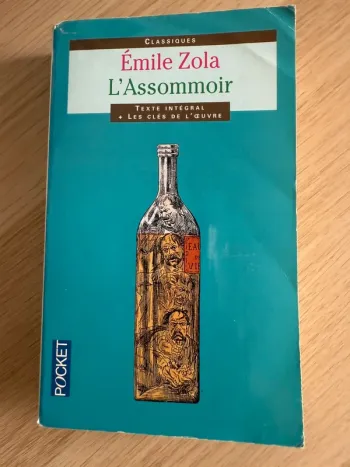 Émile Zola l’assommoir