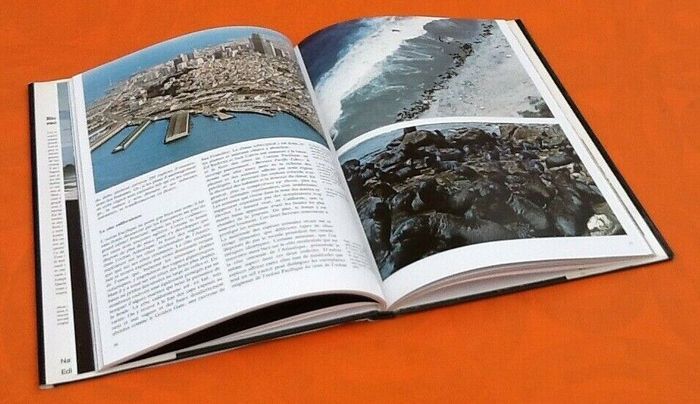 A. Borgioli / G. Capelli / Robert Burton Rivages et marais du monde - photo numéro 4