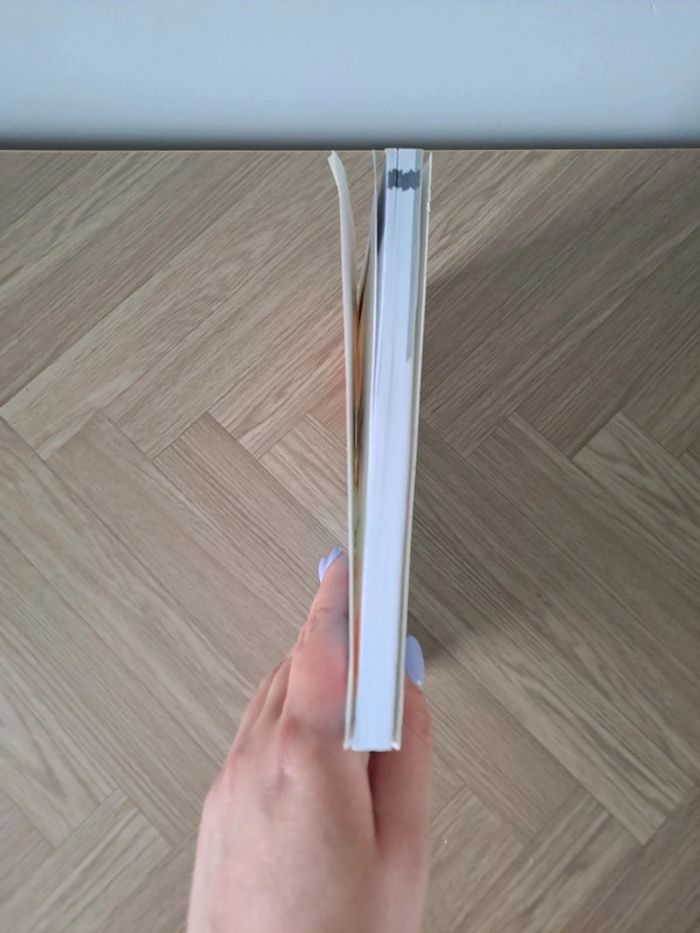 Mémoires d'un rat - photo numéro 5