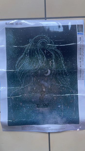 Toile Diamond Painting 30x40cm n°30