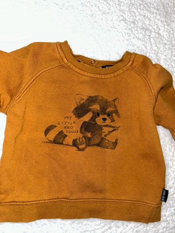 Pull bébé panda