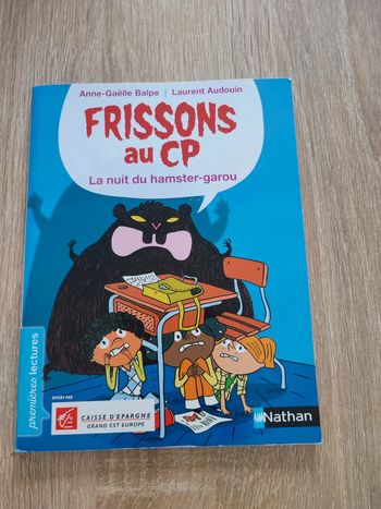 Livre roman pour enfant frissons au CP