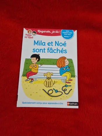 Livre regarde je lis mila et noé, mila et noé sont fâchés