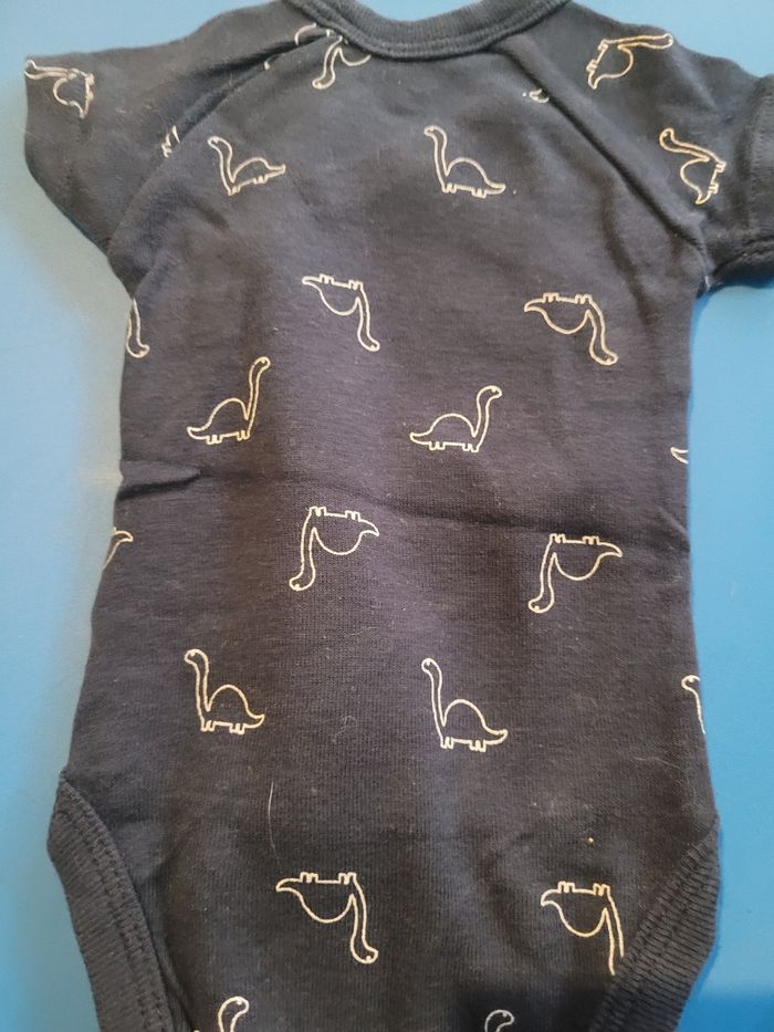 Bodie 1 mois gemo - photo numéro 3