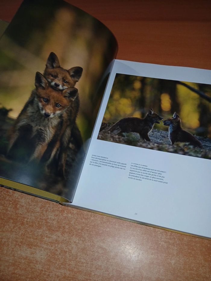 La nature à 200m de chez moi - photo numéro 8