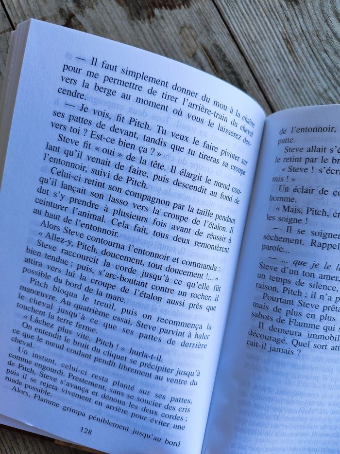 Flamme cheval sauvage - BV - photo numéro 3