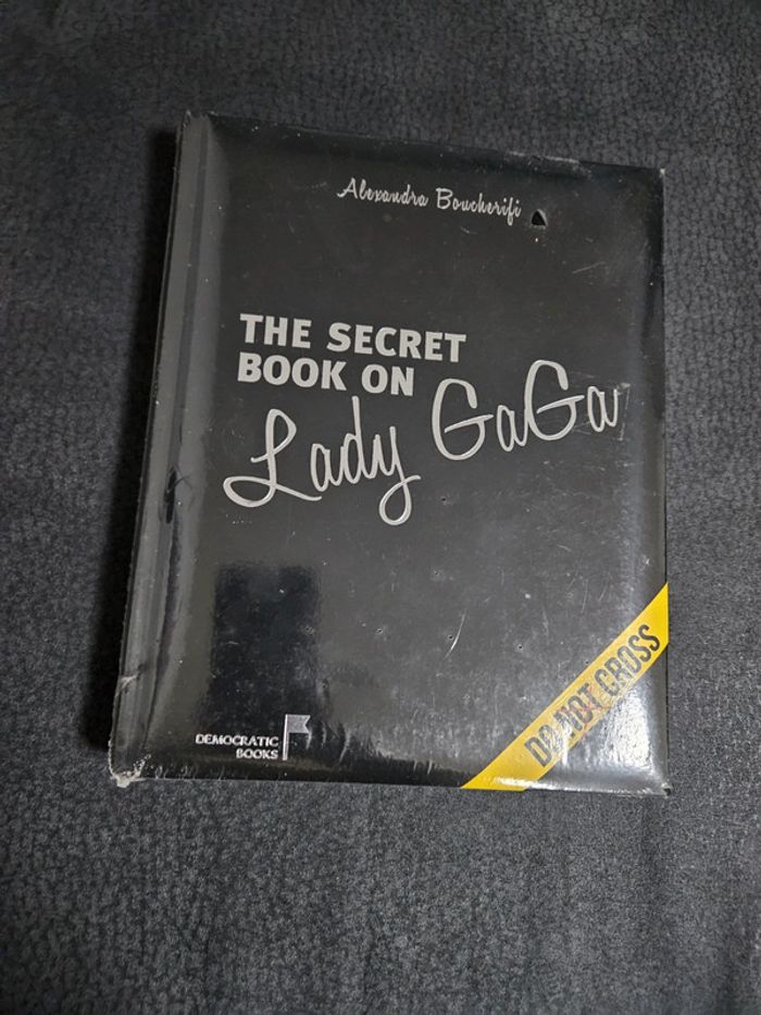 Livre Lady Gaga