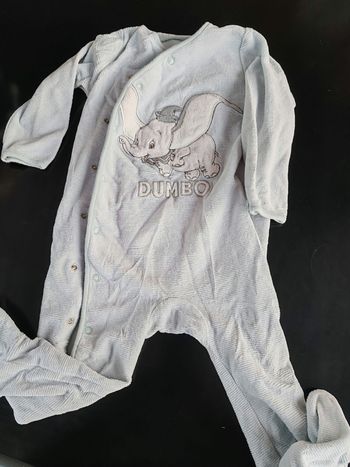 Grenouillère Dumbo