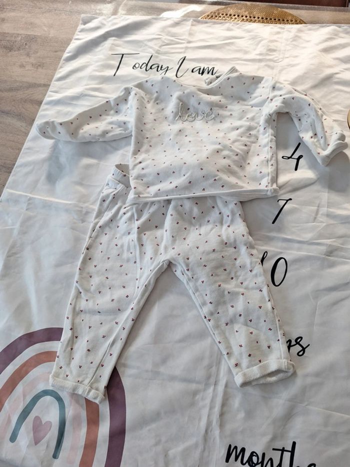 Training cerise - photo numéro 2