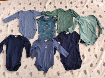Lot de 7 bodies 12 mois