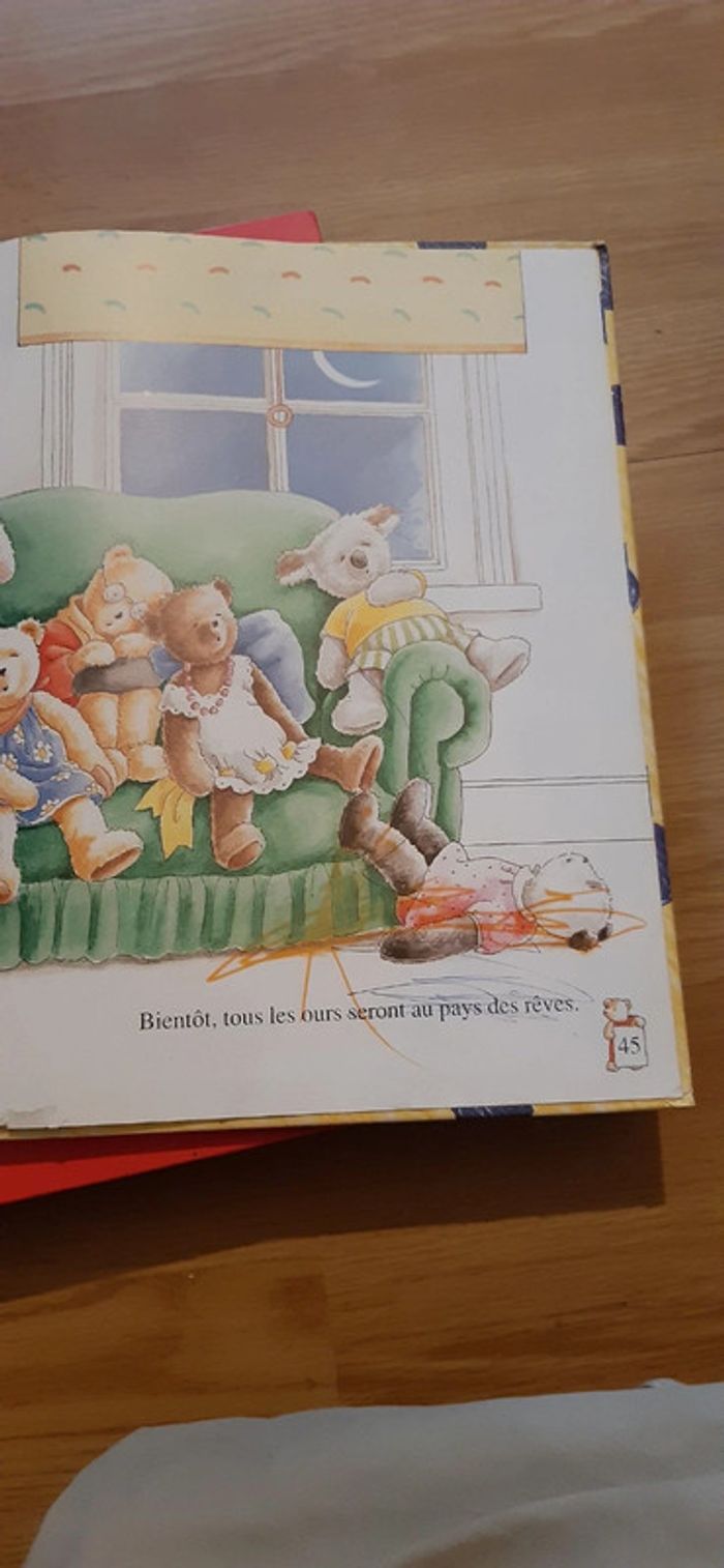 Livre une journée chez les oursons - photo numéro 7