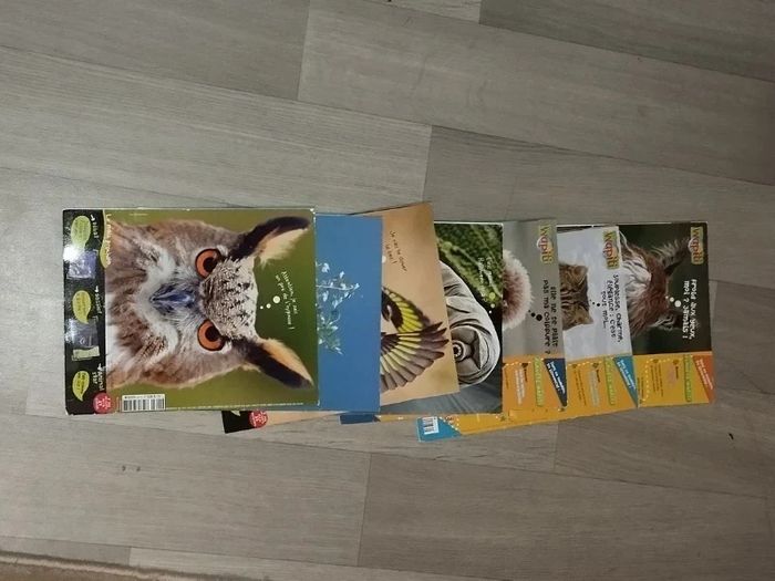 Lot de 7 magazines Wapiti année 2010-11-12-13 L028  7586988326 - photo numéro 5