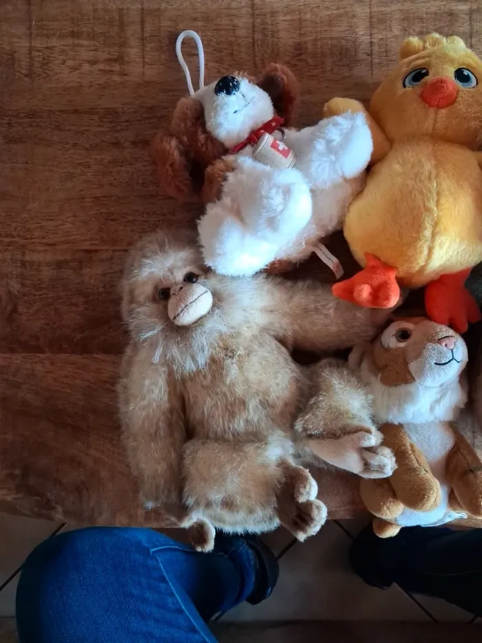 Lot de peluches - photo numéro 2