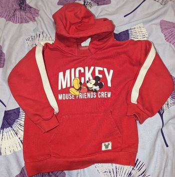 Pulls Mickey