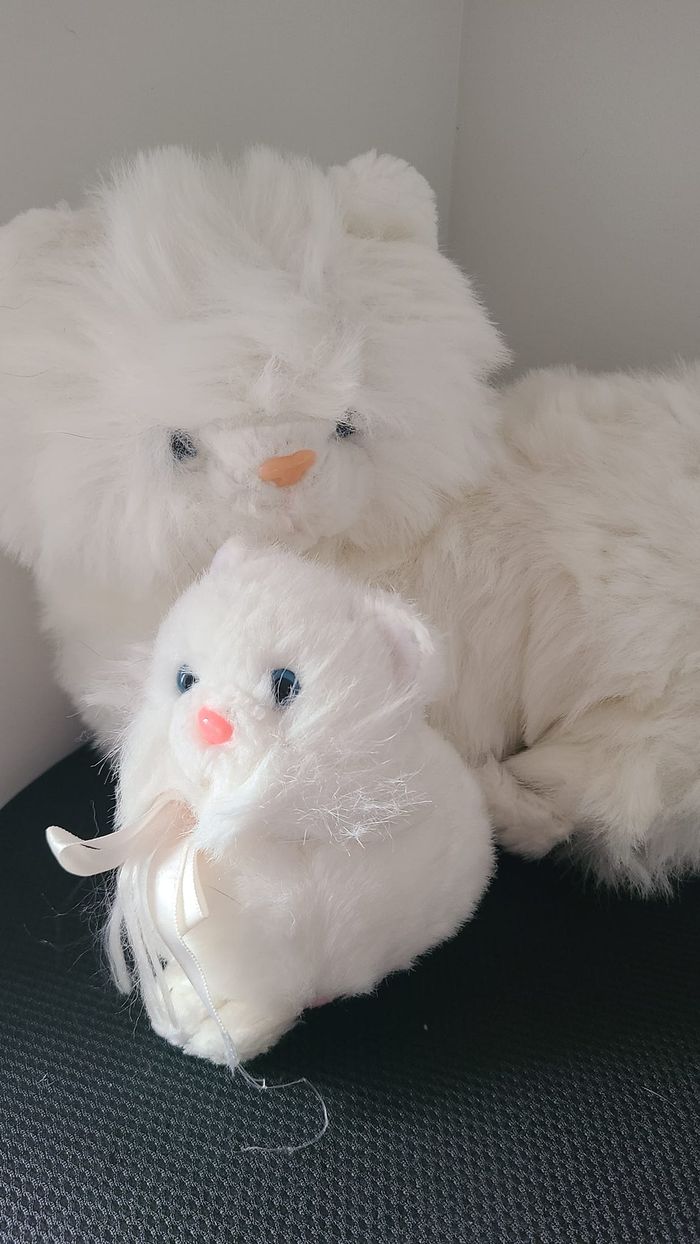 doudou chat - photo numéro 5