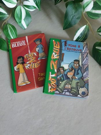 Lot de 2 livres foot de rue : tome 3  et l'histoire des bleus