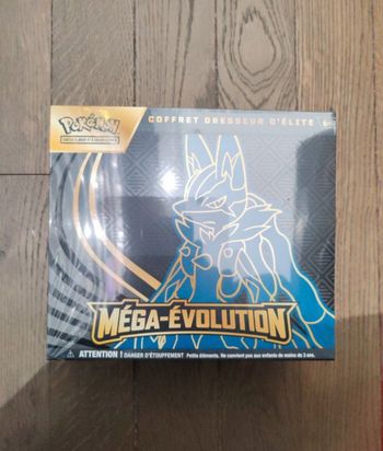 Etb Lucario méga évolution