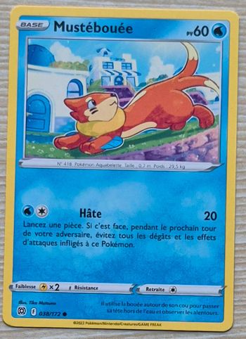 Mustébouée Stars Étincelantes