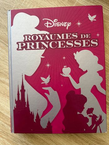 Livre Disney Royaume des Princesses