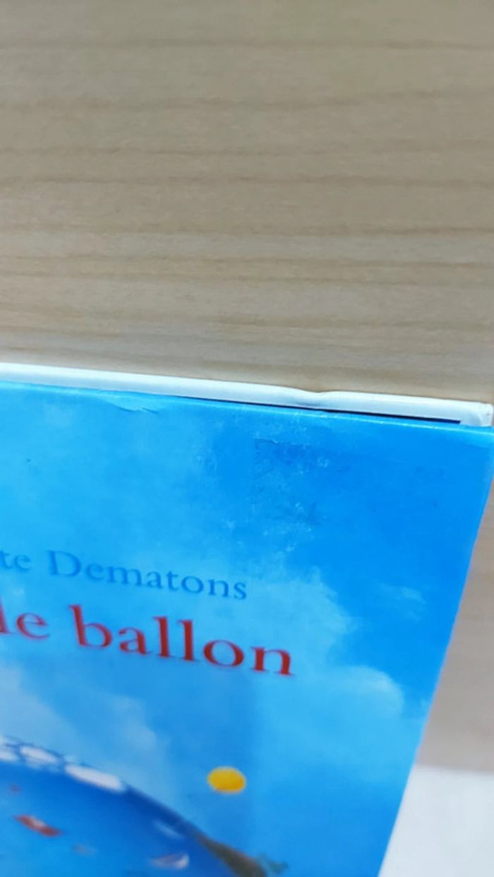 📚 Livre de grand format : De gele ballon - photo numéro 7