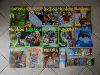 Lot de 13 magazines enfant « Wakou » Milan