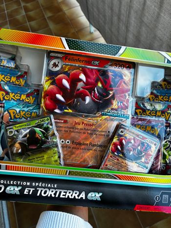 Coffret Félinferno Ex et Torterra Ex