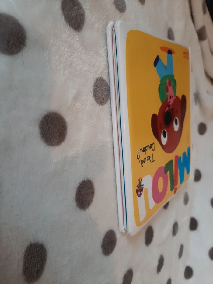 Livre Milou : tu es où doudou? - photo numéro 3