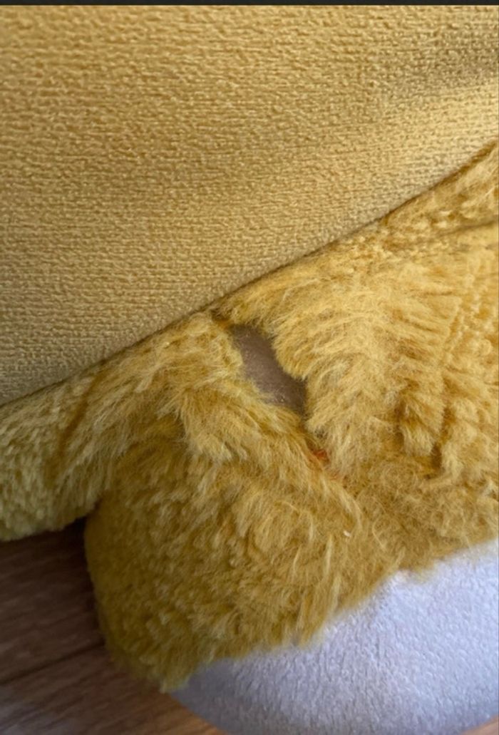 Siège Tigre - photo numéro 5