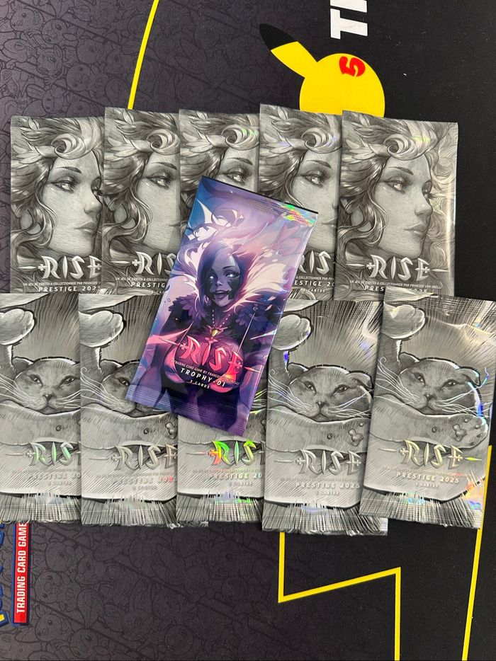 Rise Tcg - photo numéro 2