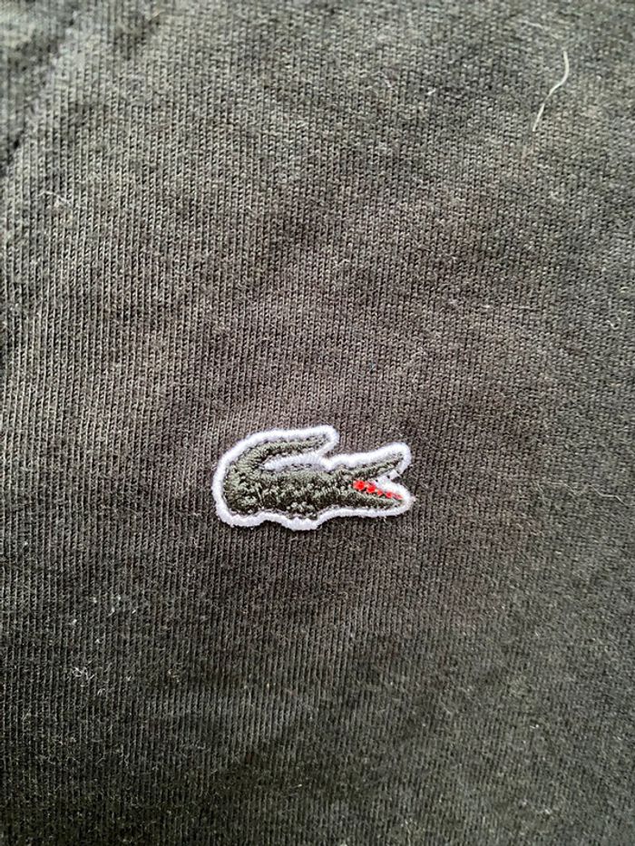 Teeshirt Lacoste - photo numéro 3