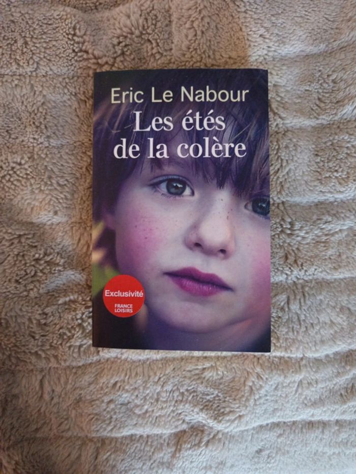 Les étés de la colère de Eric Le Nabour