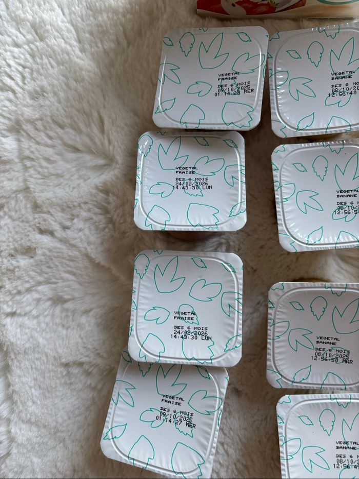 Yaourts végétaux au lait de coco - photo numéro 2