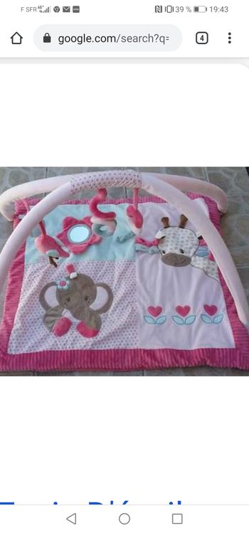 Lot Charlotte et rose Nattou