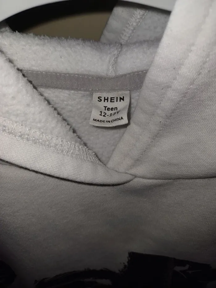 Sweats à capuche Shein - photo numéro 4