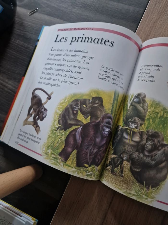 Livre Ma grande encyclopédie - photo numéro 10