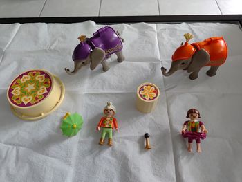 Enfants acrobates et éléphanteaux  playmobil n°4235