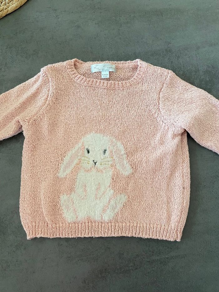 Pull lapin