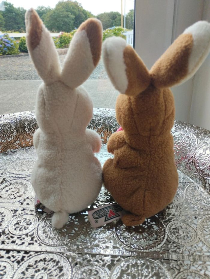 Couple de lapins 💖 - photo numéro 4
