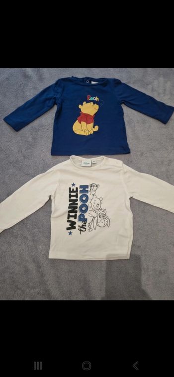 Lot 2 manche longue winnie l'ourson disney