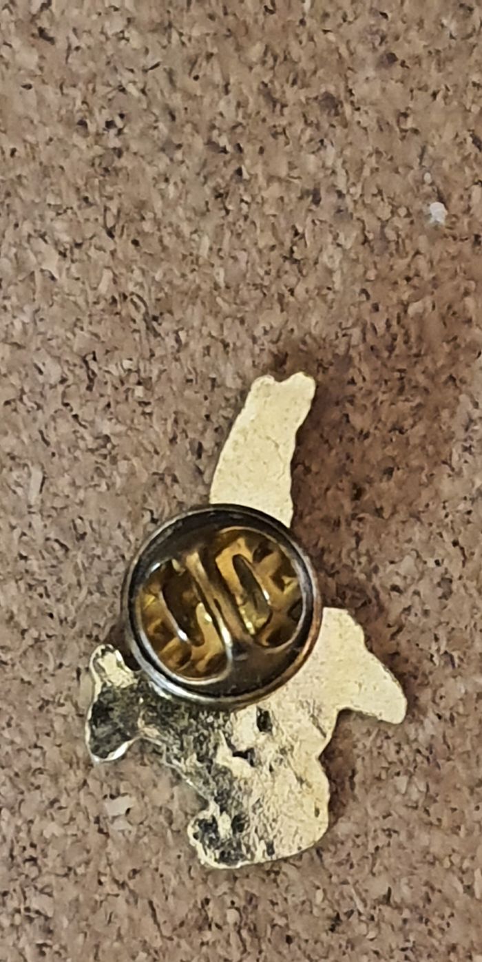 Pin's "Astérix" - photo numéro 2