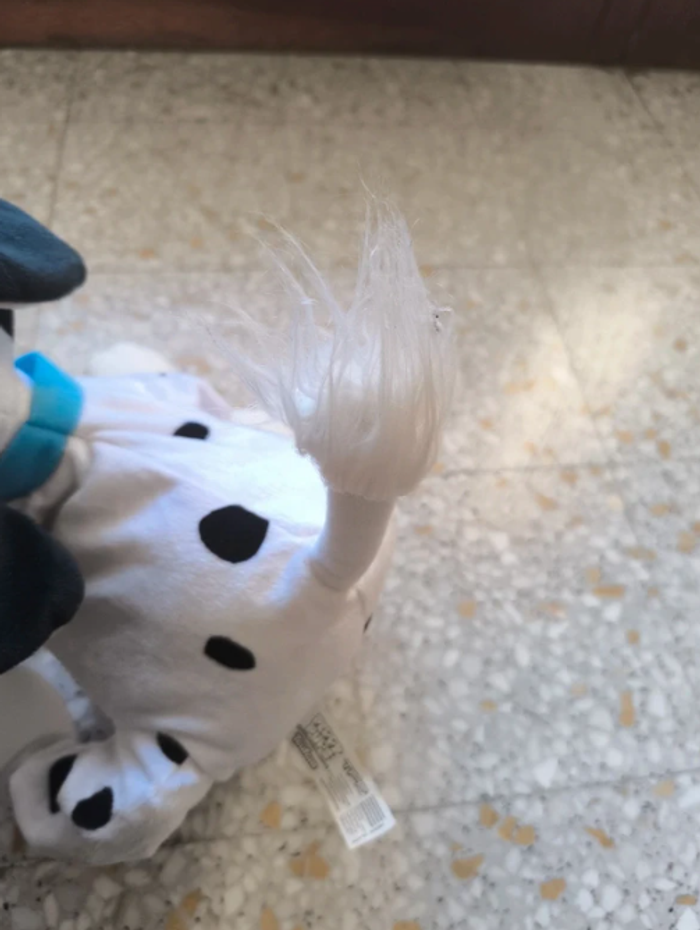 Toufous Dalmatien - photo numéro 2