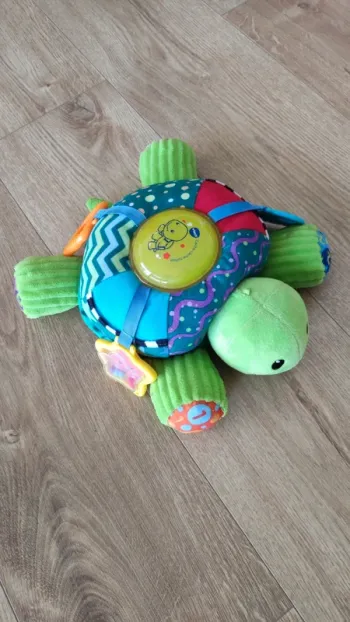 Cache-cache tortue
