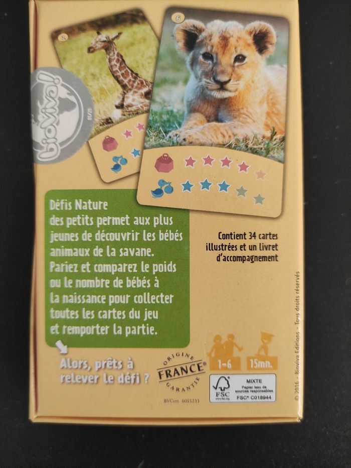 Jeu défi nature des petits - photo numéro 2