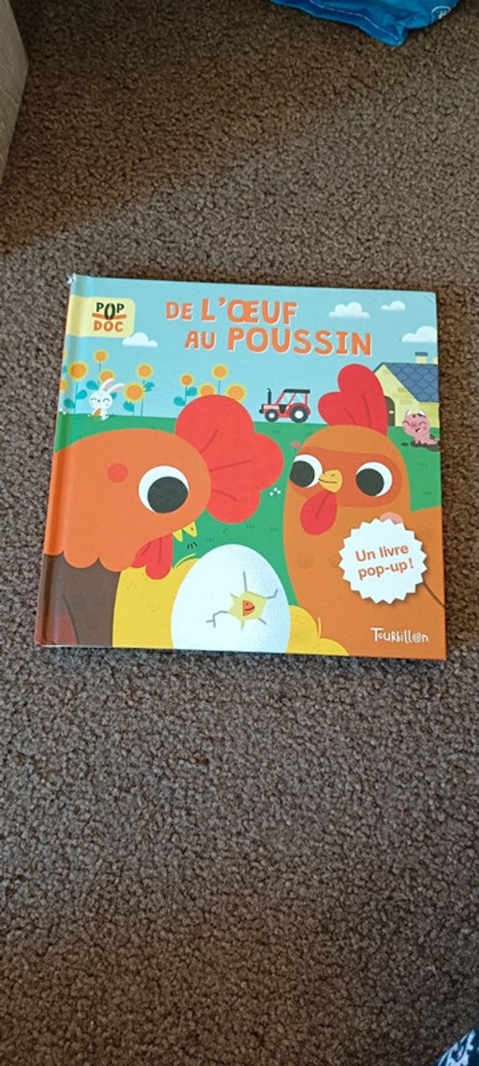 Livre de l'oeuf au poussin poule - photo numéro 3