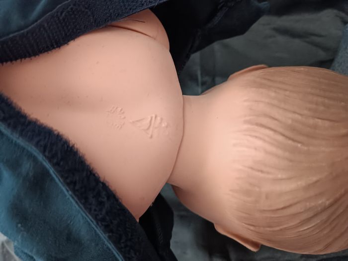 Baigneur Petitcollin - photo numéro 6