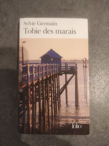 Tobie des marais Sylvie Germain Folio 2008