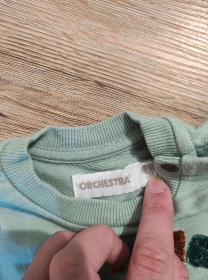 Pull orchestra 9 mois - photo numéro 4